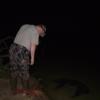 hog in water at nite