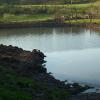 Pond